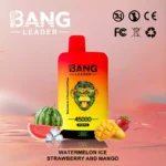 BANG LEADER 45000 Puffs Einweg Vape Dual Option Großhandel – Produktansicht 12