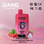 BANG LEADER 45000 Puffs Einweg Vape Dual Option Großhandel – Produktansicht 11