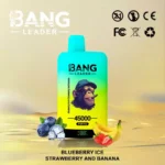 BANG LEADER 45000 Puffs Einweg Vape Dual Option Großhandel – Produktansicht 10