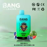 BANG LEADER 45000 Puffs Einweg Vape Dual Option Großhandel – Produktansicht 9