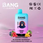 BANG LEADER 45000 Puffs Einweg Vape Dual Option Großhandel – Produktansicht 8