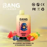 BANG LEADER 45000 Puffs Einweg Vape Dual Option Großhandel – Produktansicht 7