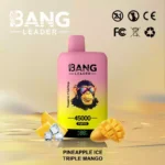 BANG LEADER 45000 Puffs Einweg Vape Dual Option Großhandel – Produktansicht 6