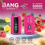 BANG LEADER 50000 Züge Dual Taste Einweg Vape 50K Großhandel – Produktansicht 9