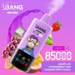 BANG LEADER 85000 Züge 3 in 1 Einweg Vape Großhandel Bestpreis – Produktansicht 13
