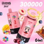 Bang Leader Stoll 300000 6 in 1 Ultra – Produktansicht 9