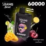Bang Leader Stoll 60000 Dual Taste Mesh – Produktansicht 3
