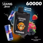 Bang Leader Stoll 60000 Dual Taste Mesh – Produktansicht 11