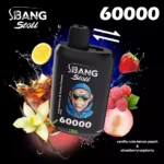 Bang Leader Stoll 60000 Dual Taste Mesh – Produktansicht 10
