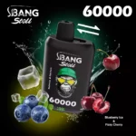 Bang Leader Stoll 60000 Dual Taste Mesh – Produktansicht 7