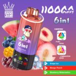 BANG LEADER 110000 6 in 1 Set Nachfüllbar – Produktansicht 4