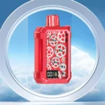 BANG VAPE LUXE 18000 Züge DSK049 – Produktansicht 3