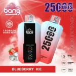 BANG 25000 Puffs kaufen Vape – Produktansicht 12