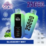 BANG 25000 Puffs kaufen Vape – Produktansicht 8