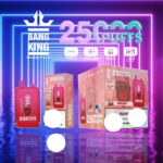 BANG KING 25000 Züge Dual Pod Vape – Produktansicht 3