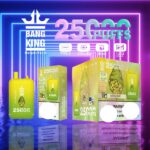 BANG KING 25000 Züge Dual Pod Vape – Produktansicht 10