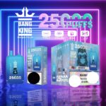 BANG KING 25000 Züge Dual Pod Vape – Produktansicht 9