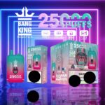 BANG KING 25000 Züge Dual Pod Vape – Produktansicht 7