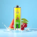 JNR Shisha Hookah Max 22000 Züge Einweg Vape Großhandel Europa – Produktansicht 1