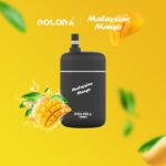 DOLODA Pebble 6500 Züge Einweg Vape Großhandel günstig kaufen – Produktansicht 5