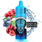 RahdM Tornado 25000 Puffs 25k Züge Vape – Produktansicht 11