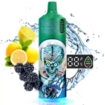 RahdM Tornado 25000 Puffs 25k Züge Vape – Produktansicht 12