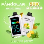 Pandolar Magic Box 50000 Dual Mesh – Produktansicht 10