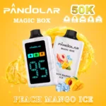 Pandolar Magic Box 50000 Dual Mesh – Produktansicht 1