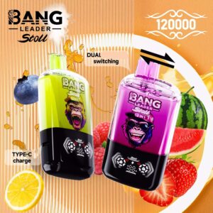 Bang Leader Stoll 120000 Puffs Einweg Vape Smart Display Dual Screen