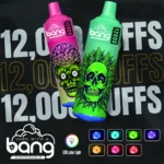 BANG 12000 Puffs kaufen Vape – Produktansicht 1